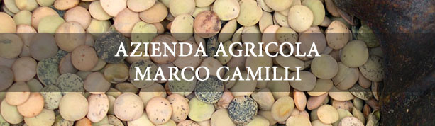 Azienda agricola Marco Camilli
