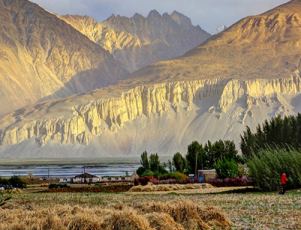 Il Tajikistan approda in Tuscia e sonda le produzioni locali da inserire nei suoi mercati